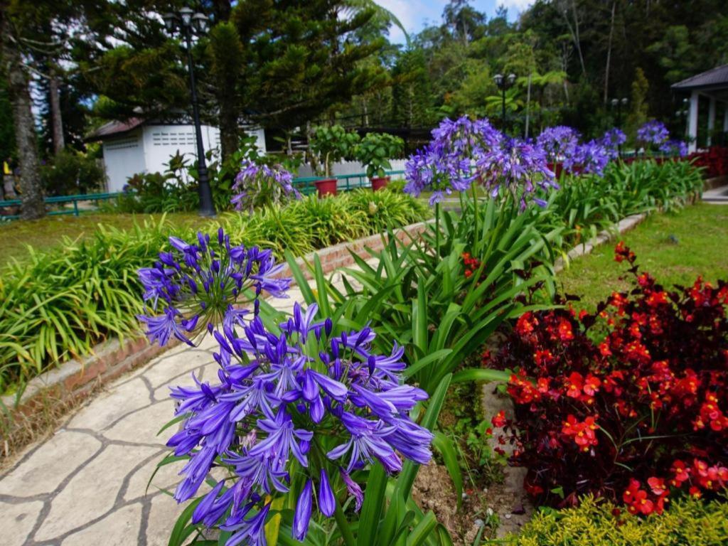 Camlodge Budget Hotel 2*