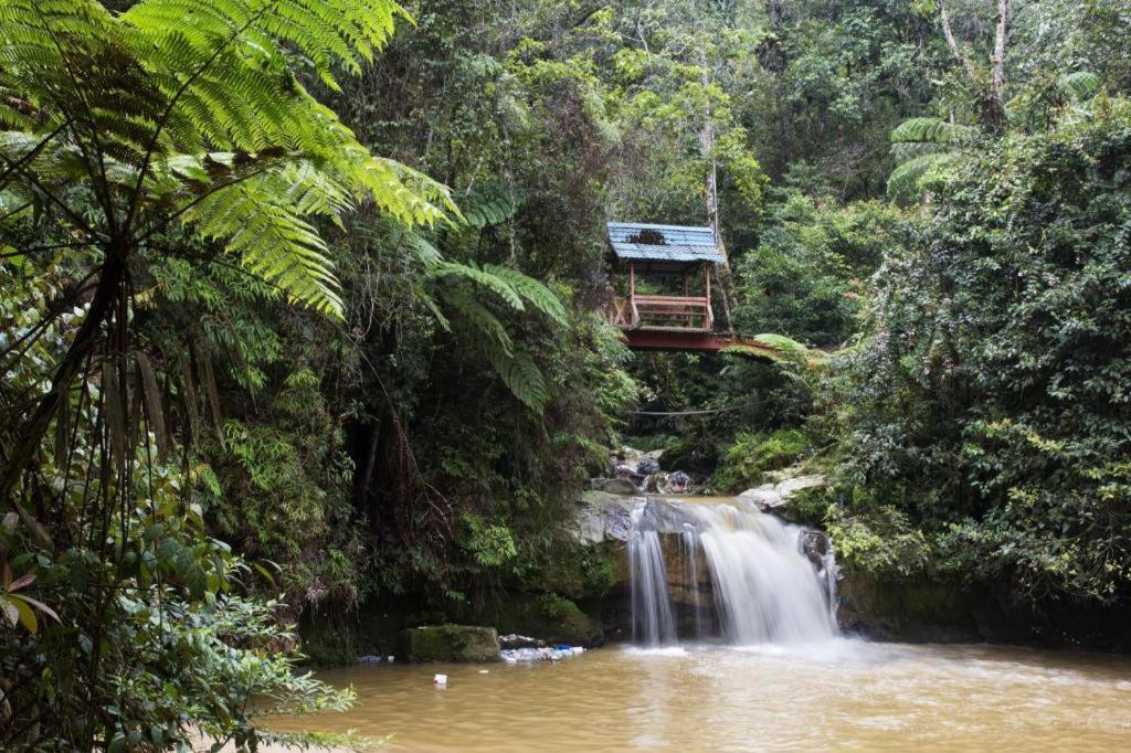Camlodge Budget Cameron Highlands